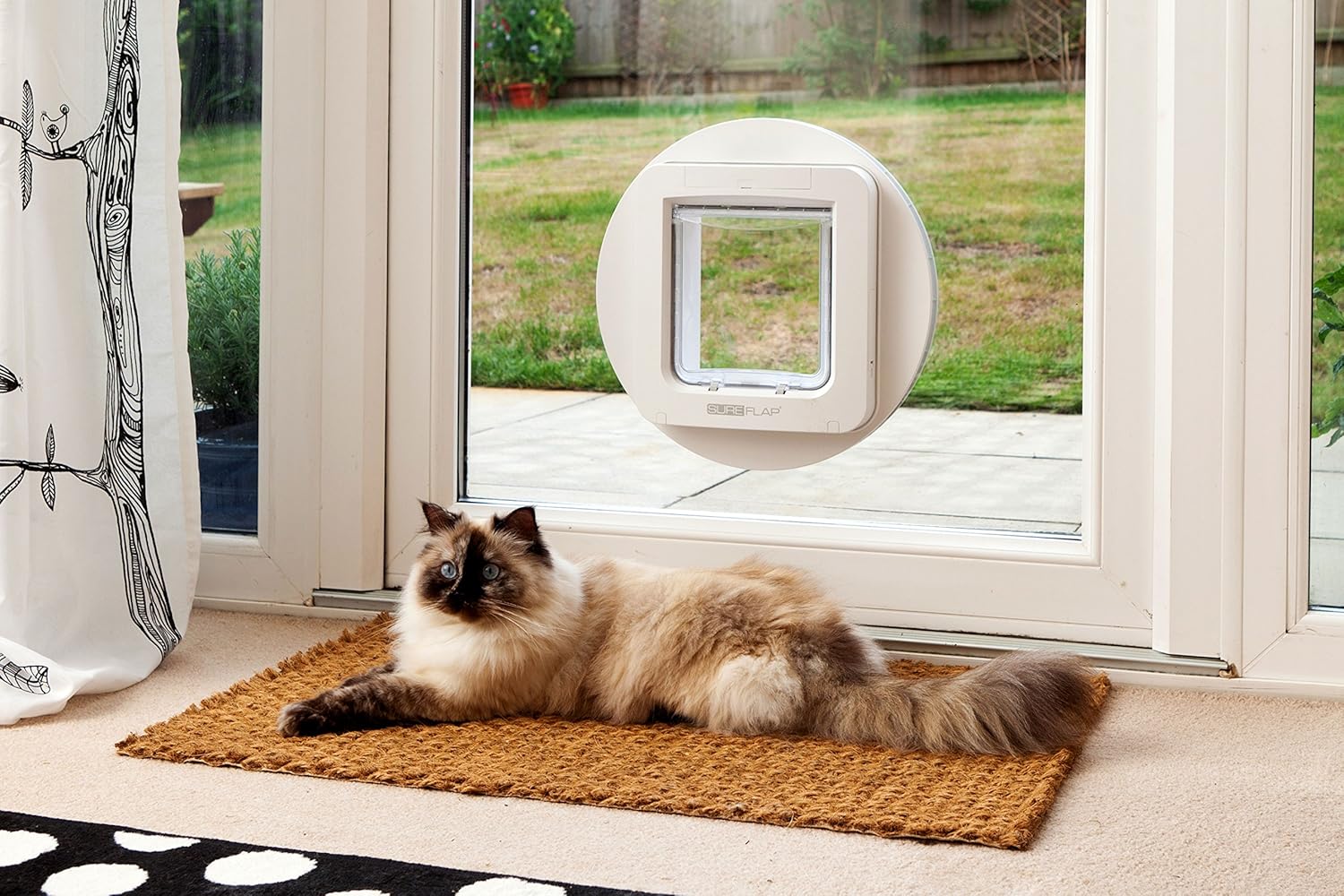 Porte pour chat Sure Petcare à grande puce électronique avec fonction couvre-feu, compatible avec les étiquettes RFID