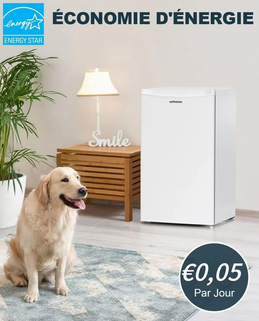 Petit Frigo BR321 avec Congélateur de 91L, Bac à Légumes, Thermostat Réglable