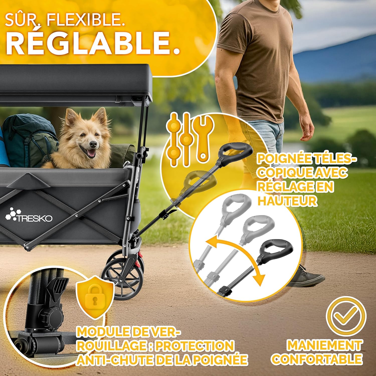Chariot de transport pliable avec toit, compartiment isotherme et stores latéraux