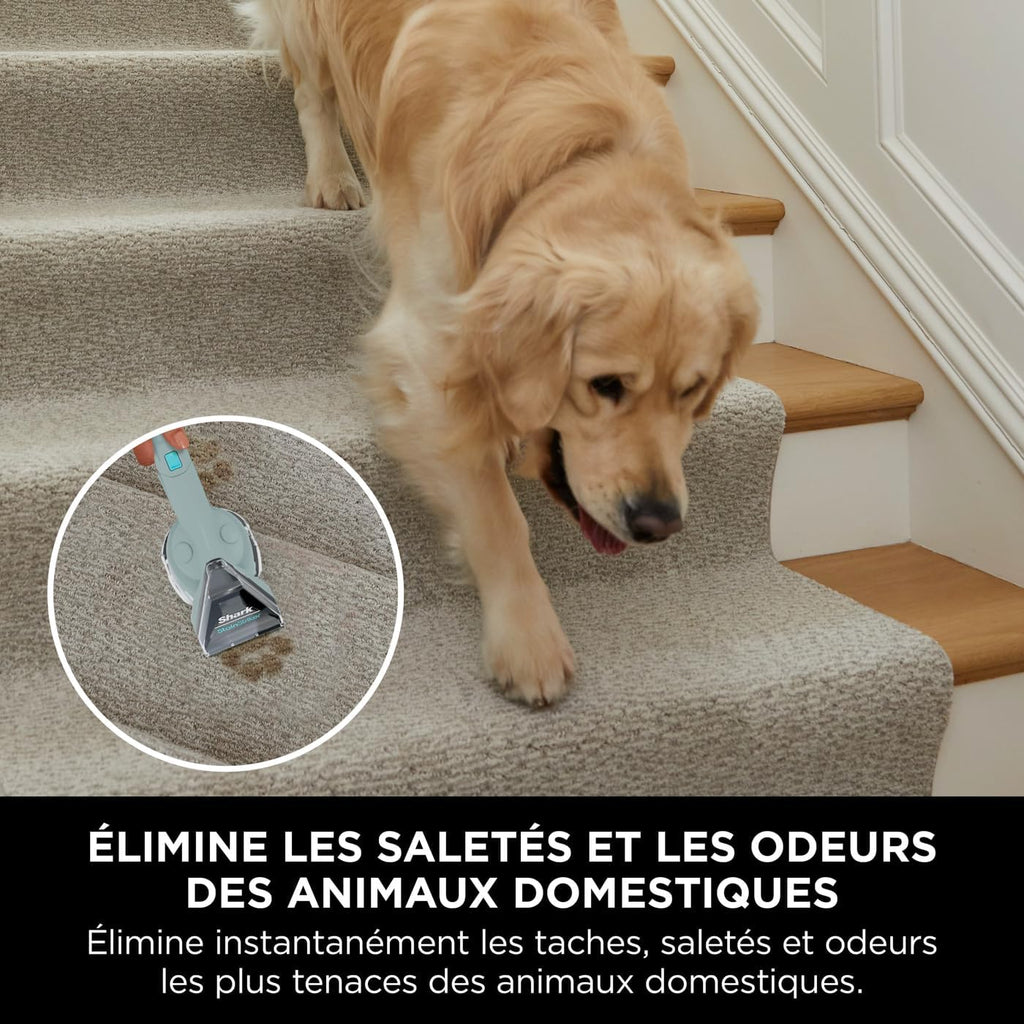 StainStriker Nettoyeur tâches 5 accessoires, pour animaux, suceur plat et tuyaux, PX200EUCP