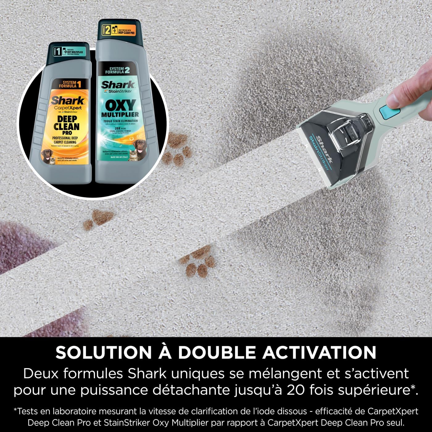 StainStriker Nettoyeur tâches 5 accessoires, pour animaux, suceur plat et tuyaux, PX200EUCP