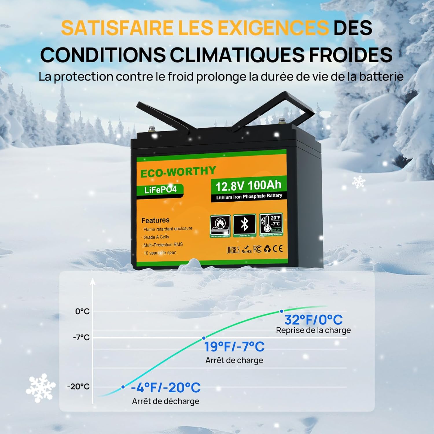 Bluetooth Batterie Lithium 12V 100AH avec Protection de BMS et de Basse Température