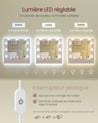 Kailyn Collection - Coiffeuse avec Miroir LED, Multiprise, 9 Tiroirs, RDT141WB02