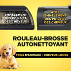 PowerPro Aspirateur sans Fil, IZ380EU, Technologie FloorDetect, Anti-emmêlement, Système Anti-allergène