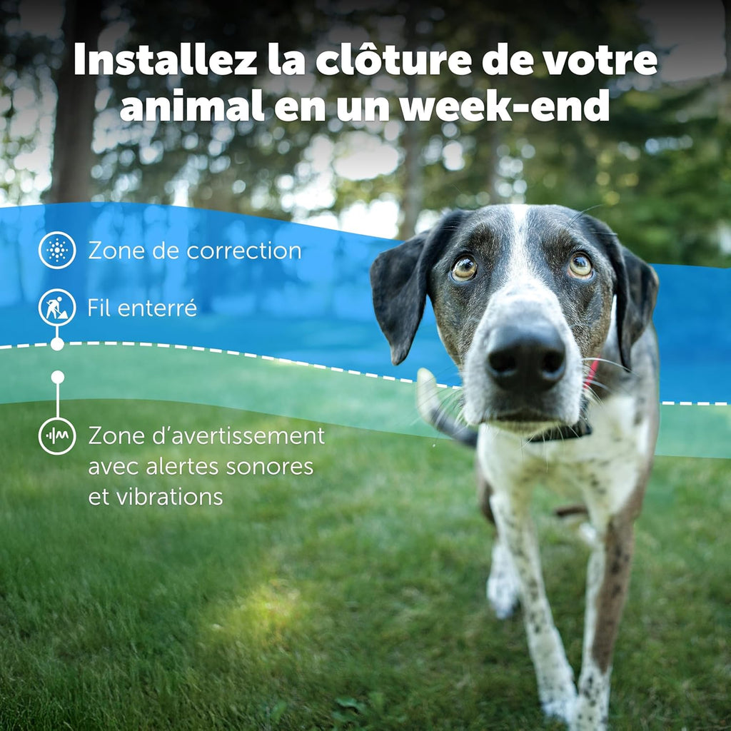Système de clôture enterrée adapté aux chiens têtus, avec correction statique haute intensité