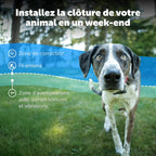 Système de clôture enterrée adapté aux chiens têtus, avec correction statique haute intensité