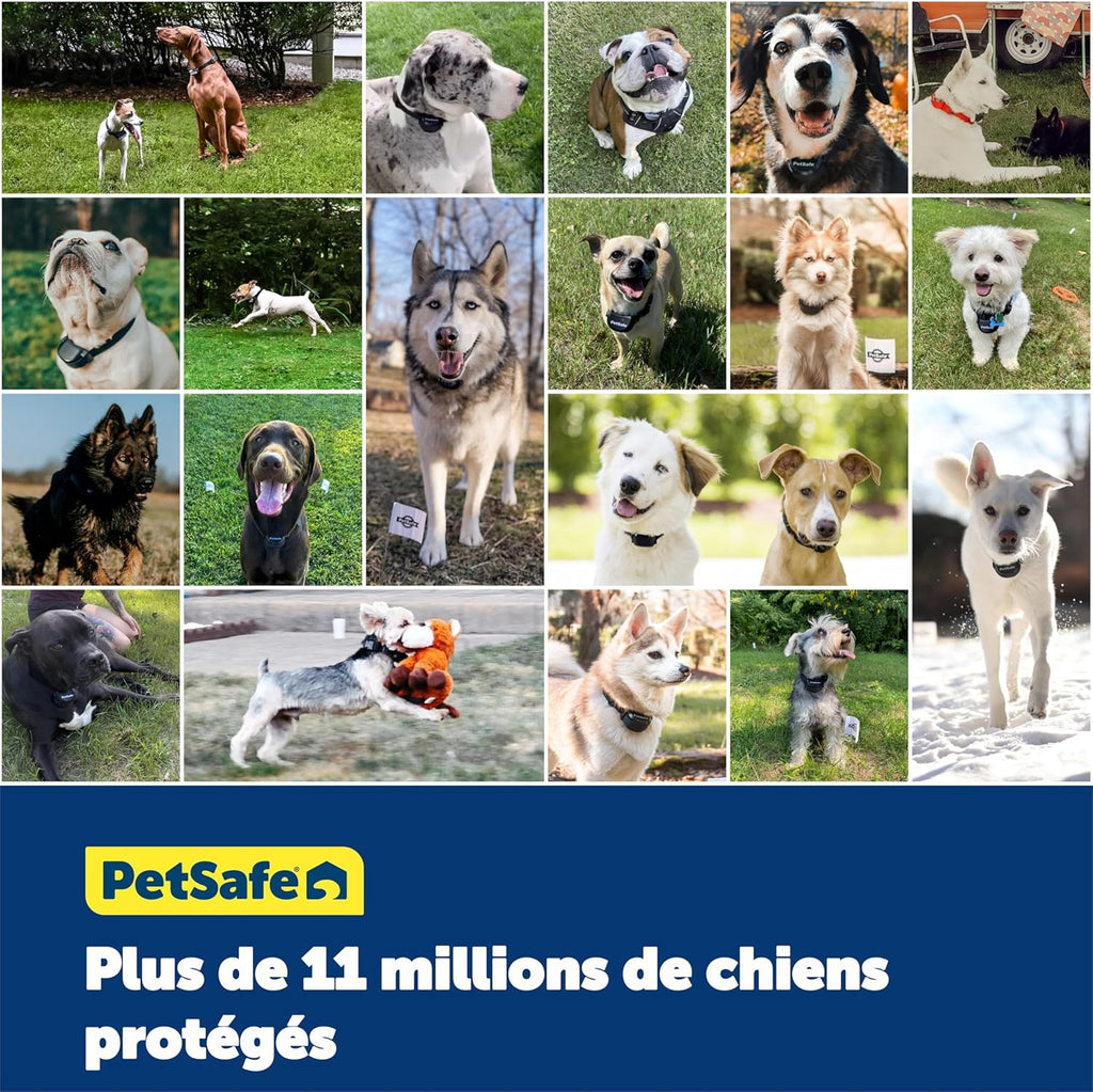 Système de clôture enterrée adapté aux chiens têtus, avec correction statique haute intensité