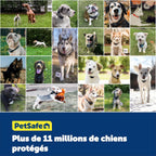 Système de clôture enterrée adapté aux chiens têtus, avec correction statique haute intensité