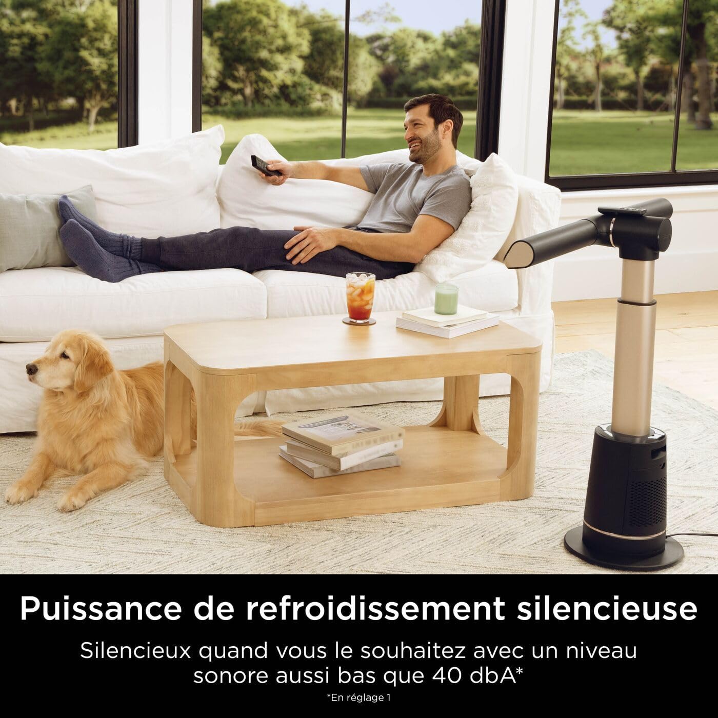 TurboBlade Ventilateur colonne sans pale, Discret, 10 vitesses, 180°, TF200SEU
