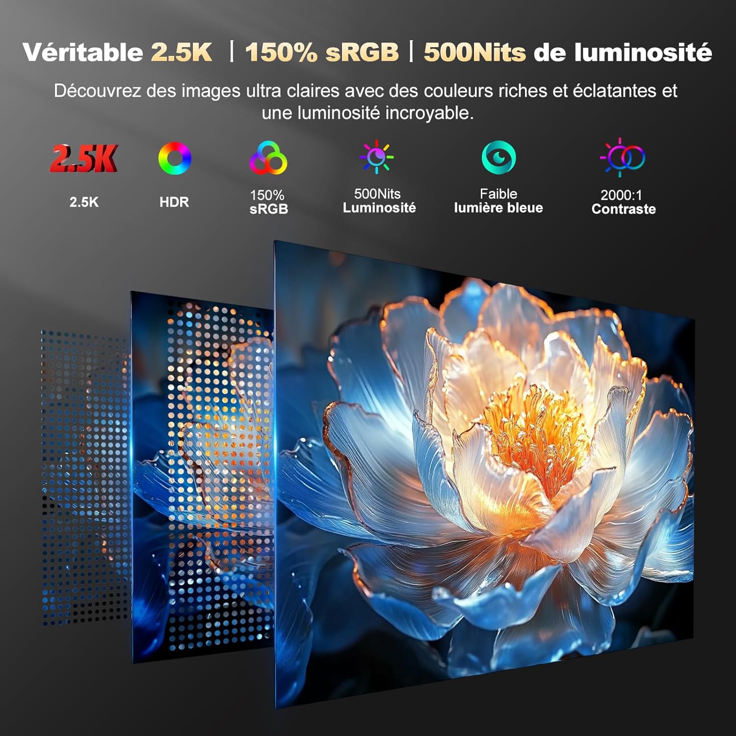 Écran Portable 15.6" 2.5K 150% sRGB 500nit Moniteur IPS Ultra-Léger