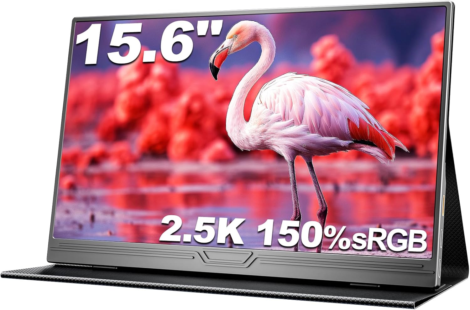 Écran Portable 15.6" 2.5K 150% sRGB 500nit Moniteur IPS Ultra-Léger
