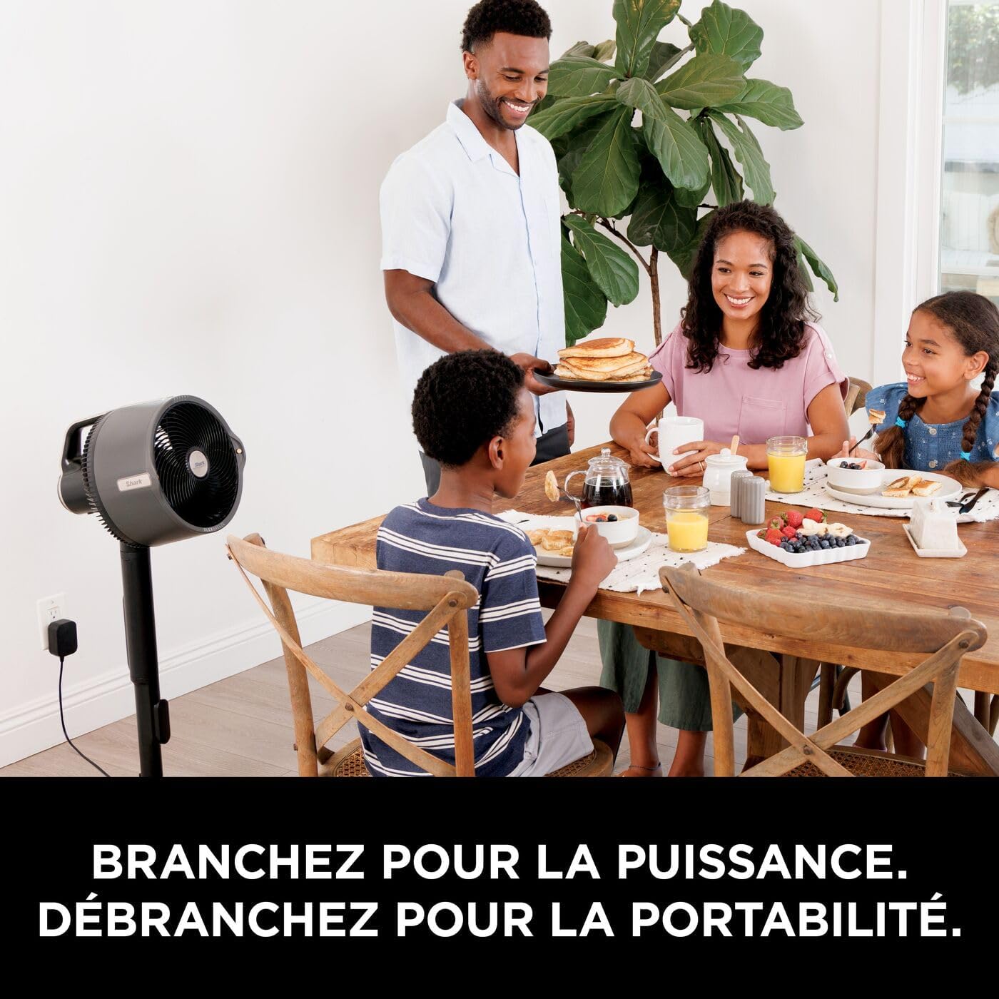FlexBreeze Pro Mist Portable Ventilateur intérieur/extérieur sans fil, 5 vitesses, Silencieux, FA300EU