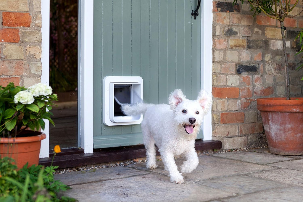 Porte pour chat Sure Petcare à grande puce électronique avec fonction couvre-feu, compatible avec les étiquettes RFID