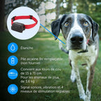 Système de clôture enterrée adapté aux chiens têtus, avec correction statique haute intensité