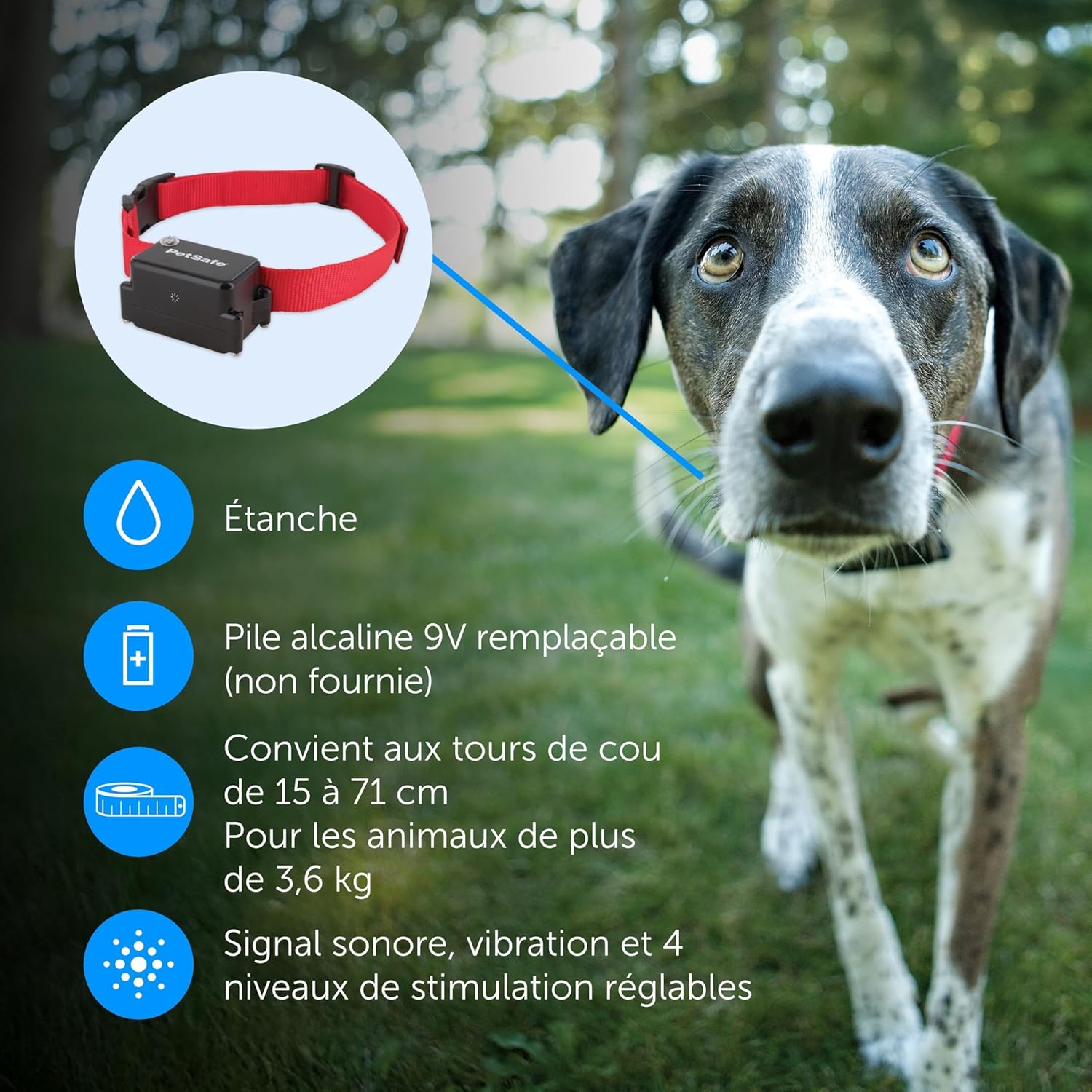 Système de clôture enterrée adapté aux chiens têtus, avec correction statique haute intensité