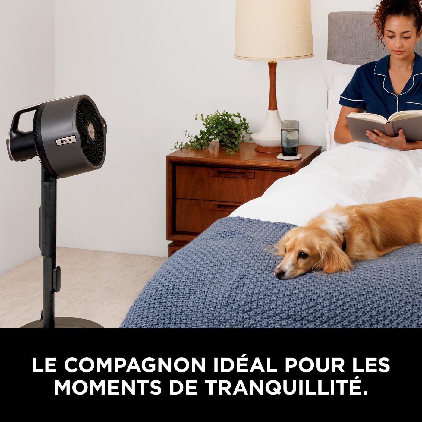 FlexBreeze Pro Mist Portable Ventilateur intérieur/extérieur sans fil, 5 vitesses, Silencieux, FA300EU