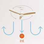 WINDSTYLANCE NATURAL WOOD, Ventilateur de plafond avec lumière, Wifi et télécommande, 6 vitesses