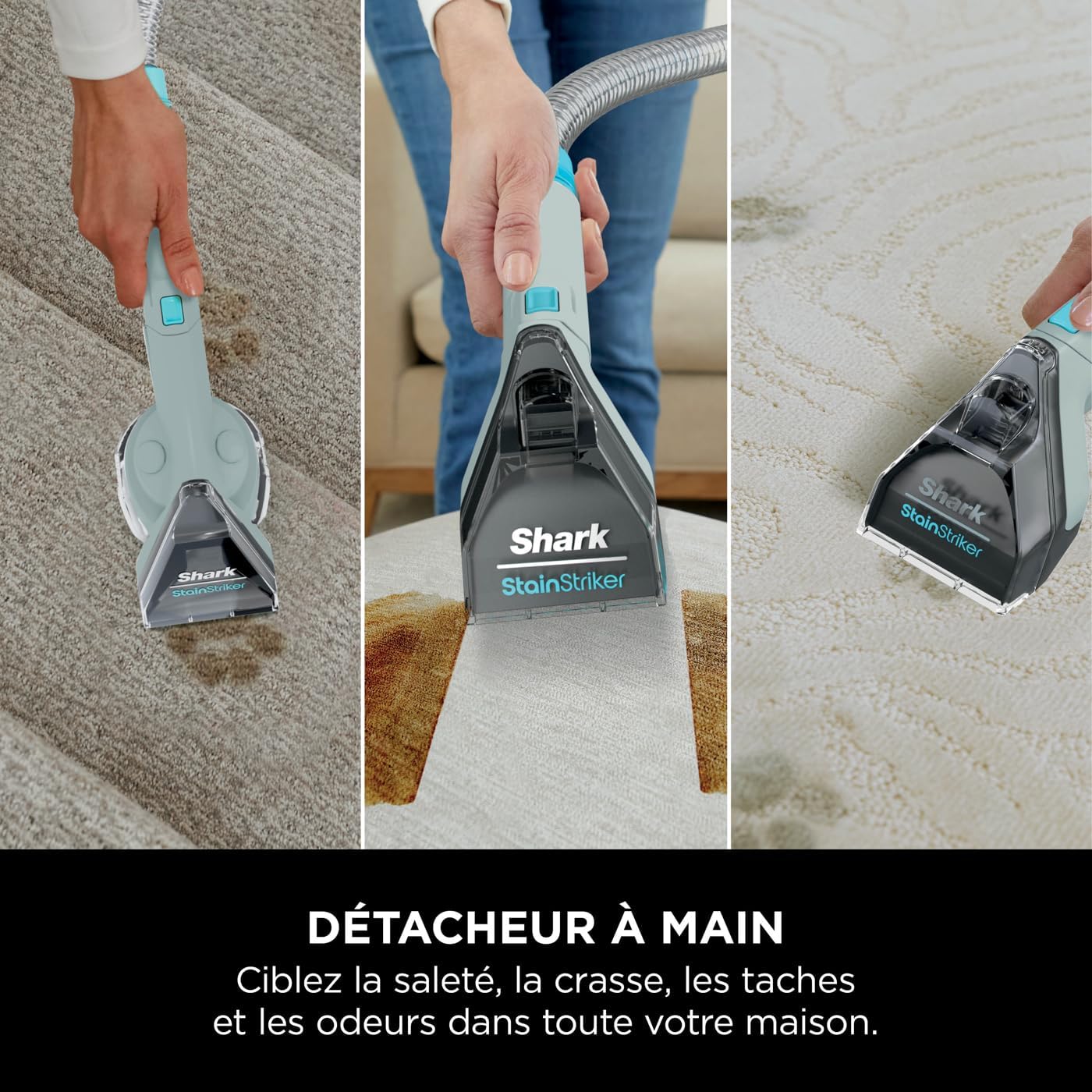 StainStriker Nettoyeur tâches 5 accessoires, pour animaux, suceur plat et tuyaux, PX200EUCP
